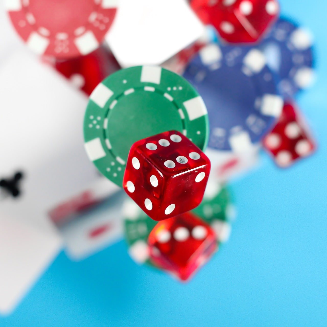 bingopkus